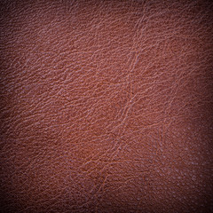 Fototapeta premium Red leather