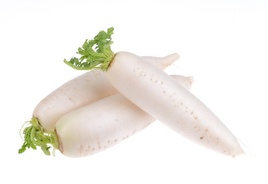 Daikon radishes isolated on white background