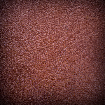 Red leather