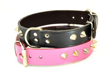 Dúo de collares para perros