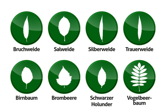 Laubbl&auml;tter Buttons Vektor