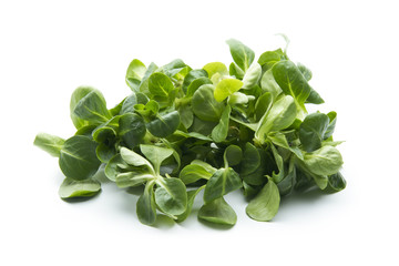 corn salad © AnnaFotyma