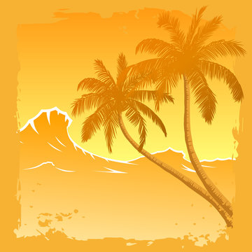 Palmen mit Sonnenuntergang am Wasser