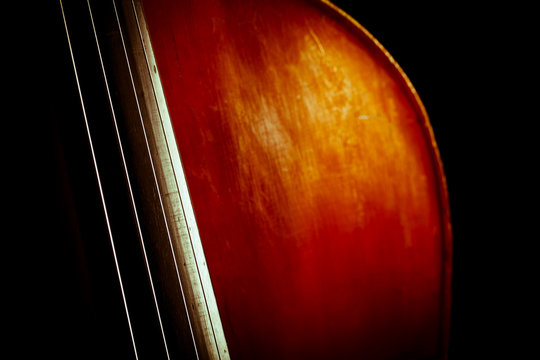 Vintage double bass