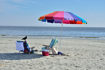 Crow scoping beach site