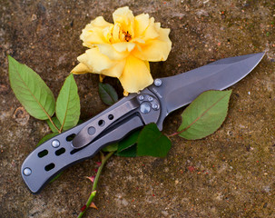 knife and rose