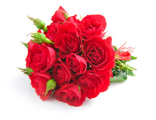 Obraz premium Red roses on white background