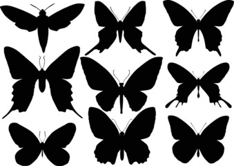 set of nine butterfly wings shapes