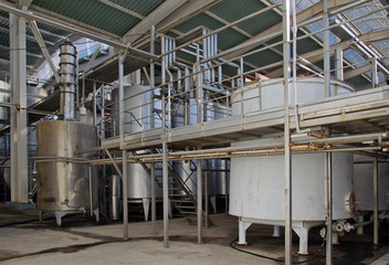 production of wine