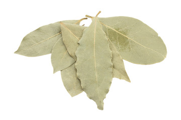 bay leaf
