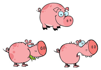 Pink Pigs Collection