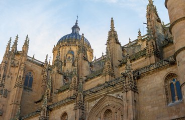 Fototapeta premium Salamanca Cathedral, made of sandstone, from a low angle
