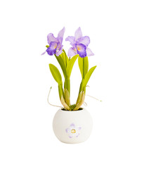 Artificial orchid flower great for interior decorative isolated