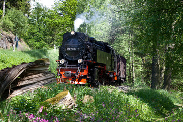 Fototapeta premium Selketalbahn Harz