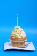 Fototapeta Birthday cupcake with candle obraz