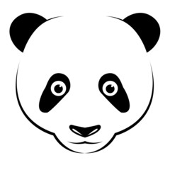 Vector image of an panda on white background