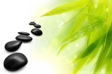 Zen Bamboo ,pebbles,sun and water.