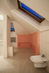 Amaranth house - white and pink bathroom