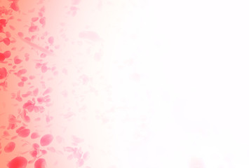 Fototapeta na wymiar valentine background with falling red rose petals