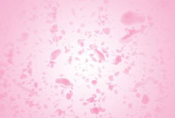 valentine  background with falling red rose petals