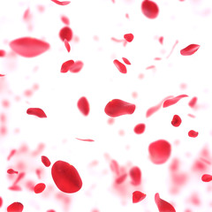 valentine  background with falling red rose petals - obrazy, fototapety, plakaty