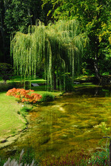 Courances castle garden, France - 49236316