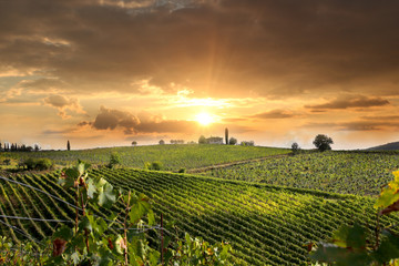 Chianti vineyard landscape in Tuscany, Italy - obrazy, fototapety, plakaty