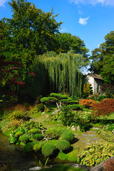Courances castle garden, France - 49236548