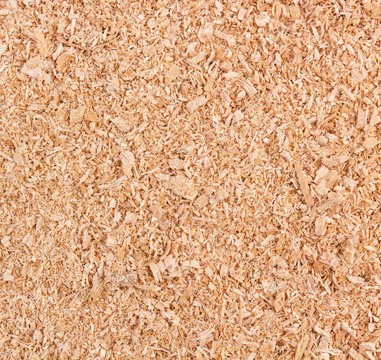 Wood Sawdust Texture Background