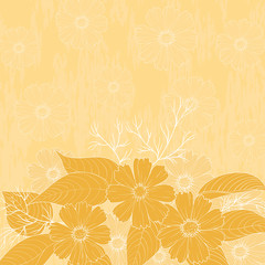 Flowers cosmos, background