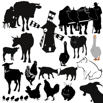 farm livestock farming vector