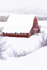 Red barn © arinahabich