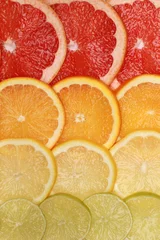 Crédence de cuisine en plexiglas Tranches de fruits Fond de pamplemousse, d& 39 oranges, de citrons et de limes