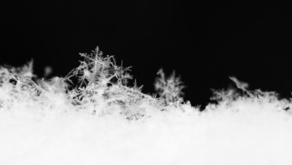 Snowflake in white snow