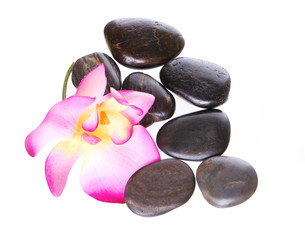 Obraz na płótnie Canvas spa stones and beautiful hot pink orchid flower isolated