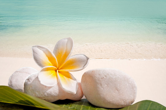 Pierres et galets blancs zen et fleur de frangipanier sur fond de mer et plage tropicale de sable blanc, d&eacute;tente en vacances