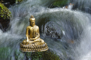 sitting buddha in flowing water