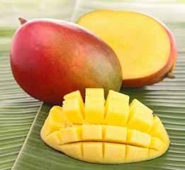 isolated mango