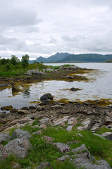 Fjord wild landscape, Lofoten Islands, Norway