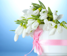 beautiful bouquet of snowdrops in vase with bow