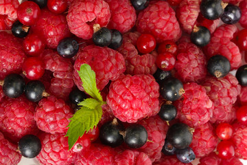 ripe berries with mint, close up.