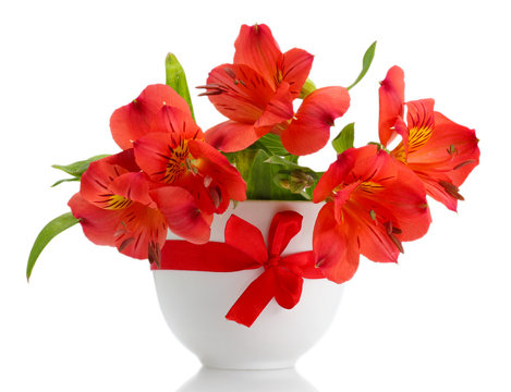 Alstroemeria Red Flowers In Vase Isolated On White