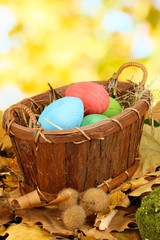 Easter eggs in wicker basket hidden in leaves