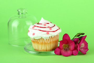 Cupcake on saucer with glass cover, on color background