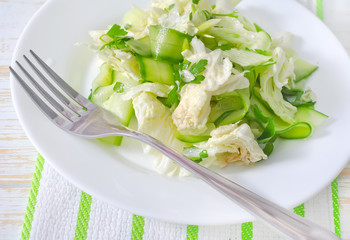 Portion of salad with cabbage and cucumber