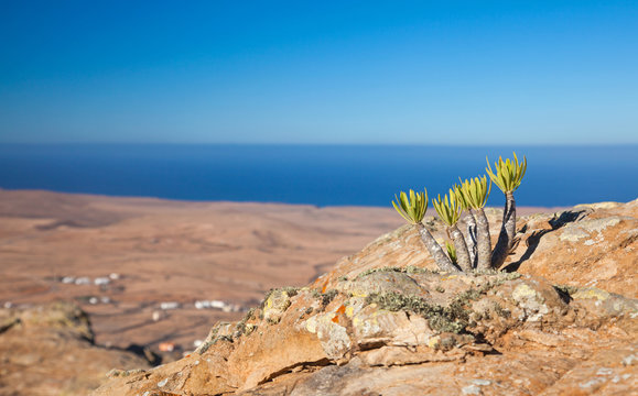 Inland Fuerteventura, Tindaya