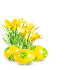 Easter eggs and yellow crocuses