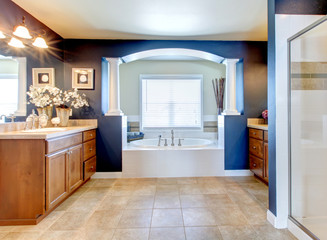 Dark blue classic elegant bathroom interior.
