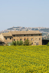 Old farmhouse and panorama of Osimo