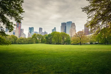 Acrylic prints Central Park Central park at rainy day